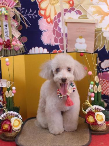 20240131ロンくん